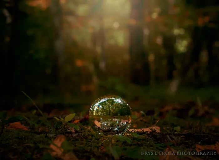 I Carry A Large Marble In My Camera Bag And Photograph Unique Perspectives Of Ordinary Places...