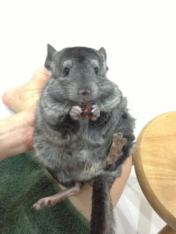 Not Sharing