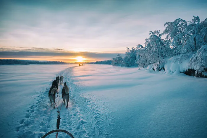 Beautiful Winter Lights Of Finland That I Captured During My 3-Month Stay