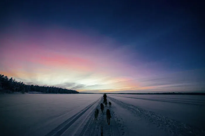 Beautiful Winter Lights Of Finland That I Captured During My 3-Month Stay