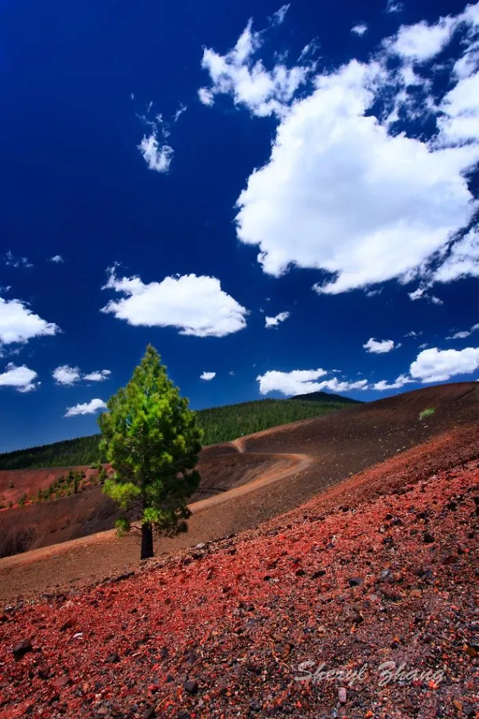 55 Photos Of Lassen Volcanic National Park That Look Like They're Taken At Another Planet
