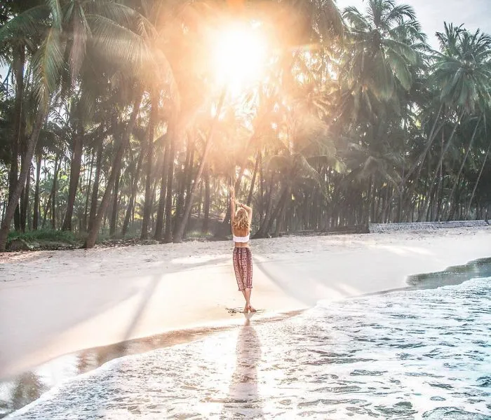Tropical Vibes