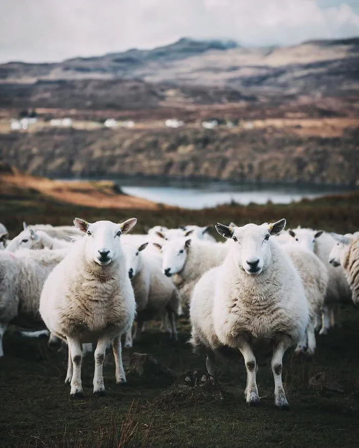 Isle Of Skye, Scotland