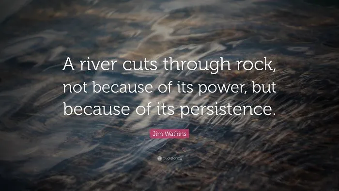 Definition Of Persistence.