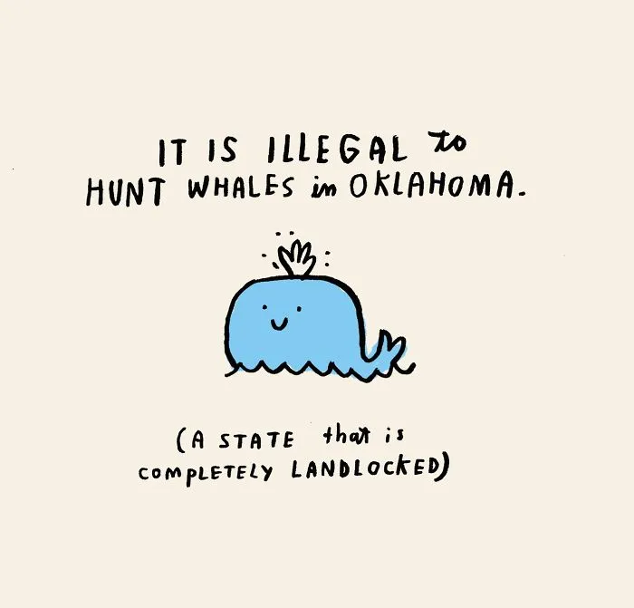 Every Morning I Illustrate Random Fun Facts