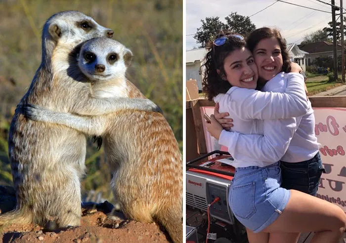 Have You Ever Noticed How Sorority Girls Always Pose Like Meerkats? (27 Pics)
