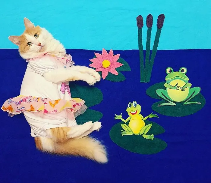 Meet Kuzya, A True Cat Adventurer From Russia