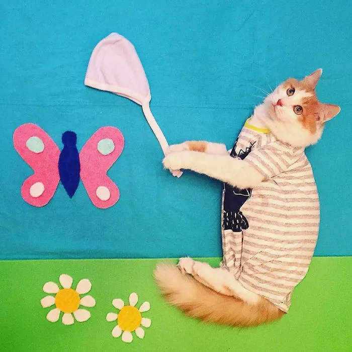 Meet Kuzya, A True Cat Adventurer From Russia