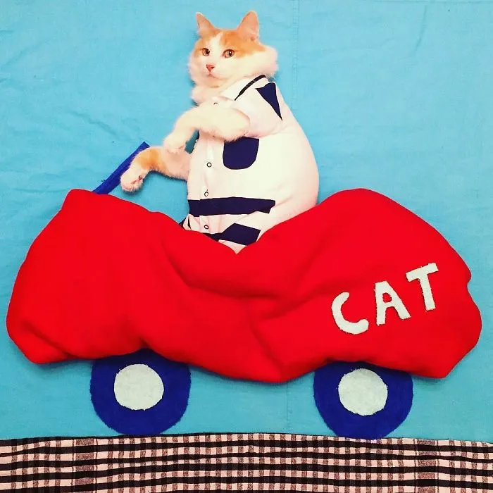 Meet Kuzya, A True Cat Adventurer From Russia