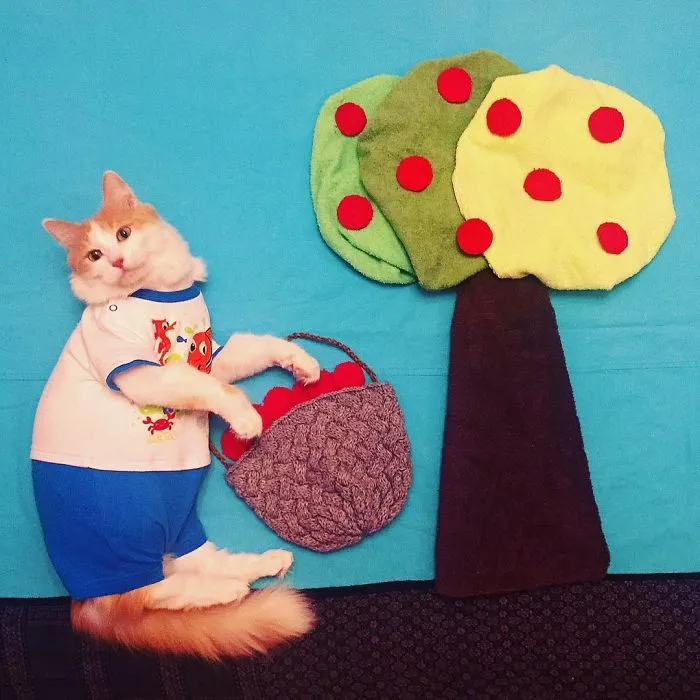 Meet Kuzya, A True Cat Adventurer From Russia