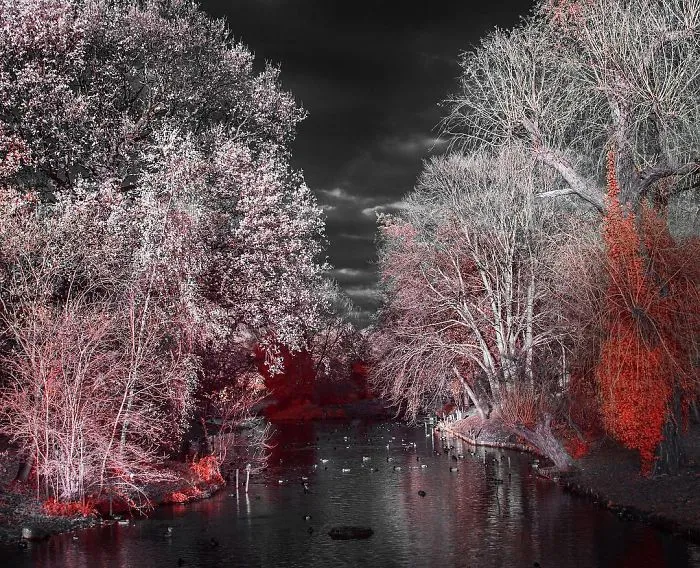 Midnight In A Perfect World