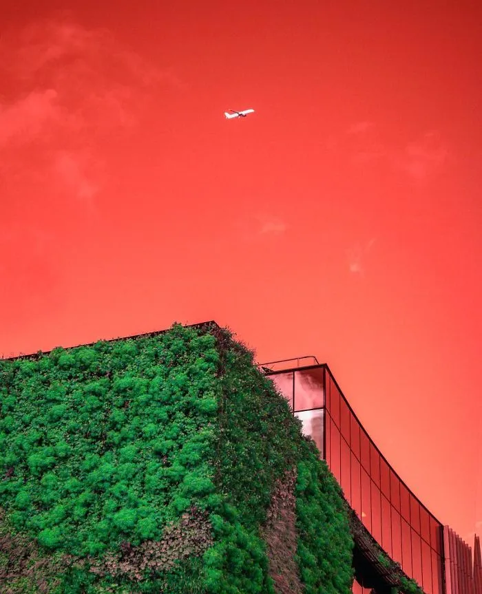 Red Skies