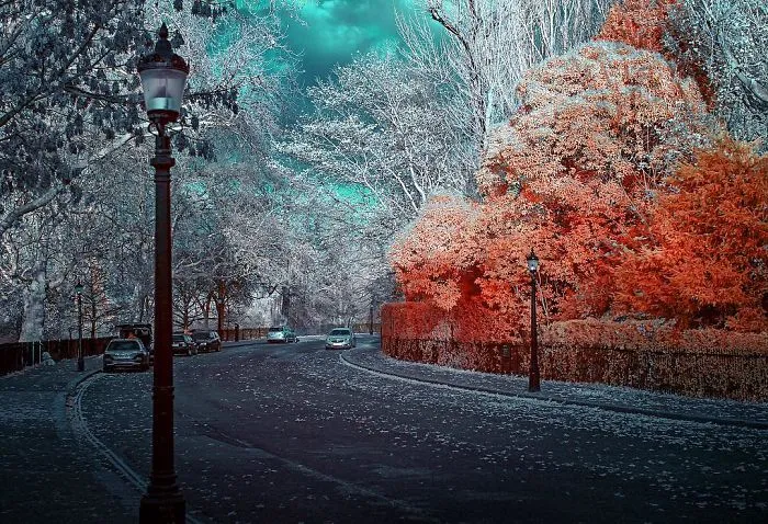 Auburn Grove