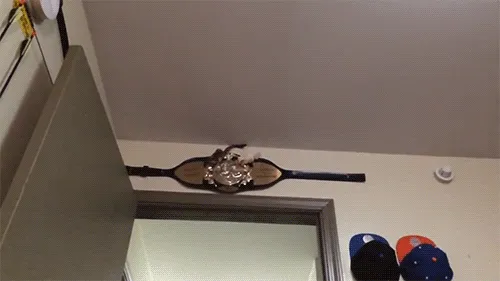 Allá Voooyyy