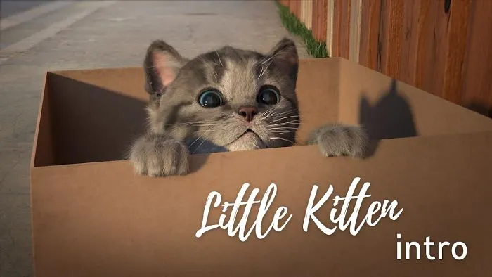 We Made This Kitten