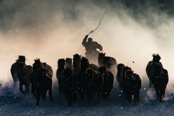 Mongolian Horseman
