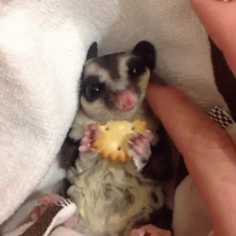Le Gusta Que Le Rasquen