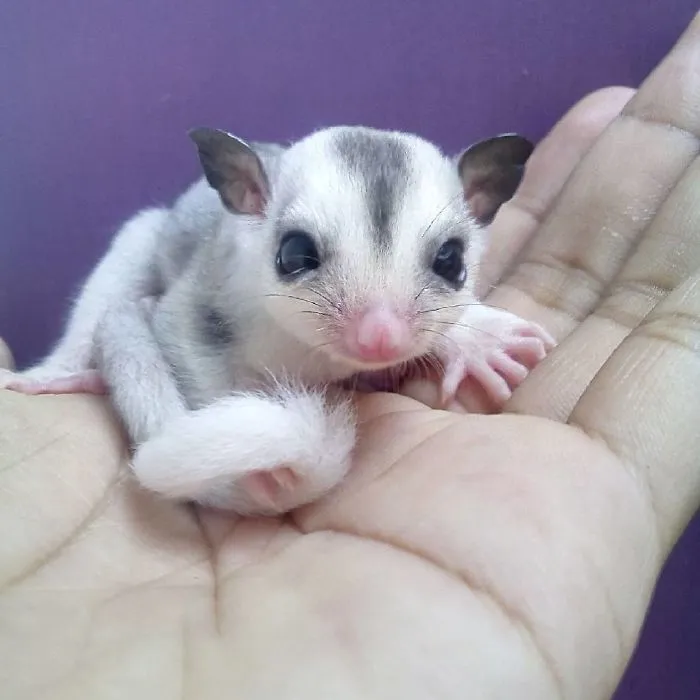 Aww... Baby