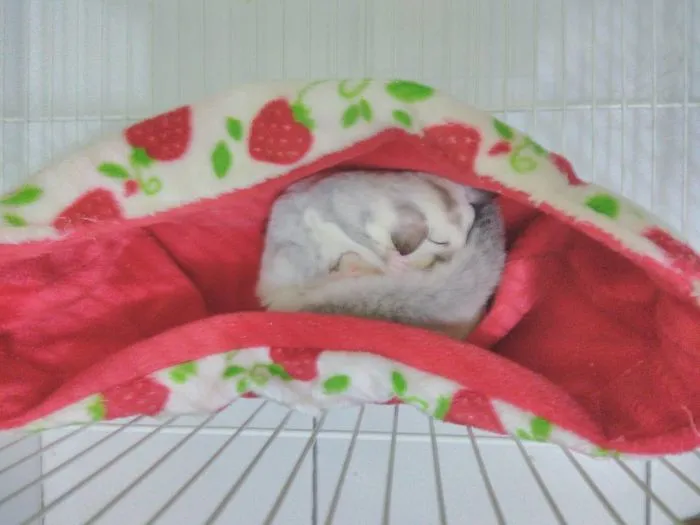 It's Time To Sleep