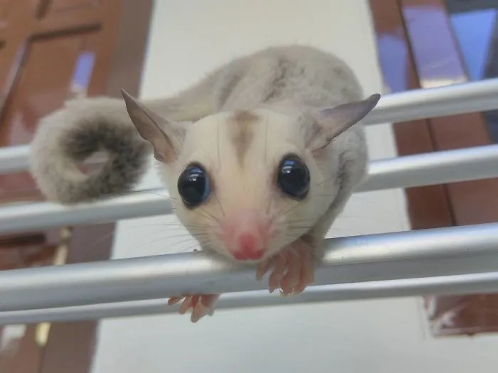 What Are You Doing ?