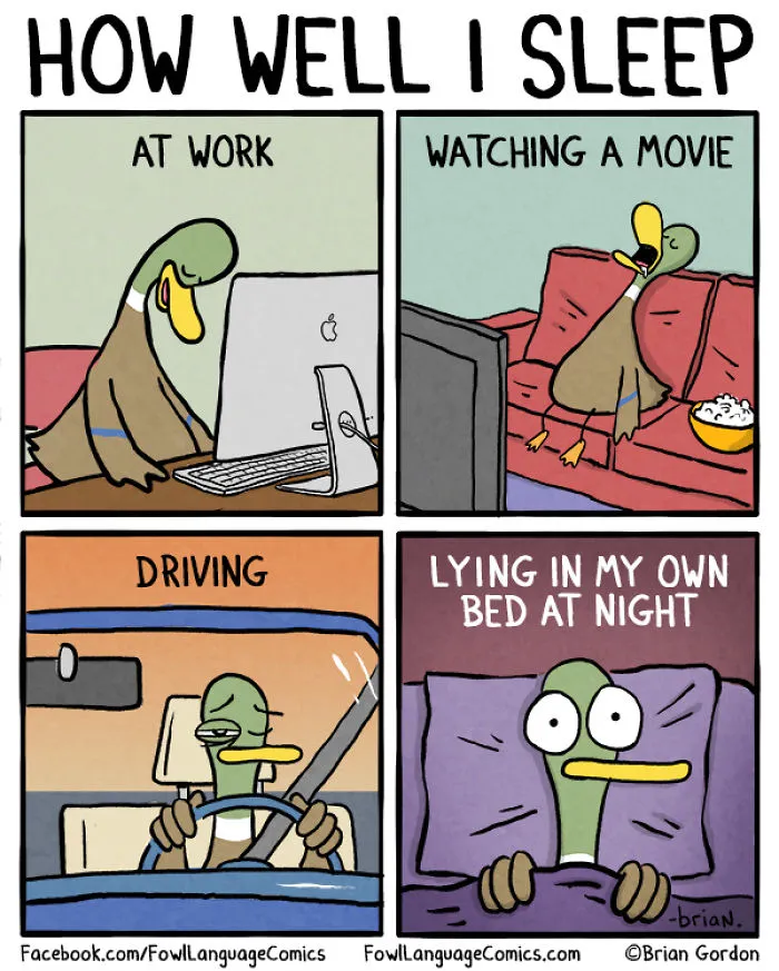80 Hilariously Relatable Comics About Adulthood