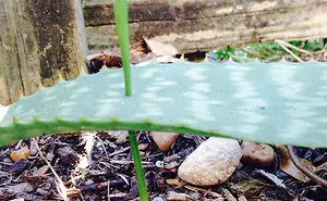 50 Photos That Are So Uncomfortable You Probably Won't Finish Scrolling
