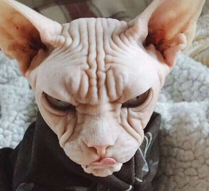 Gunnery Sergeant Hartman Only Asked Once For His War Face