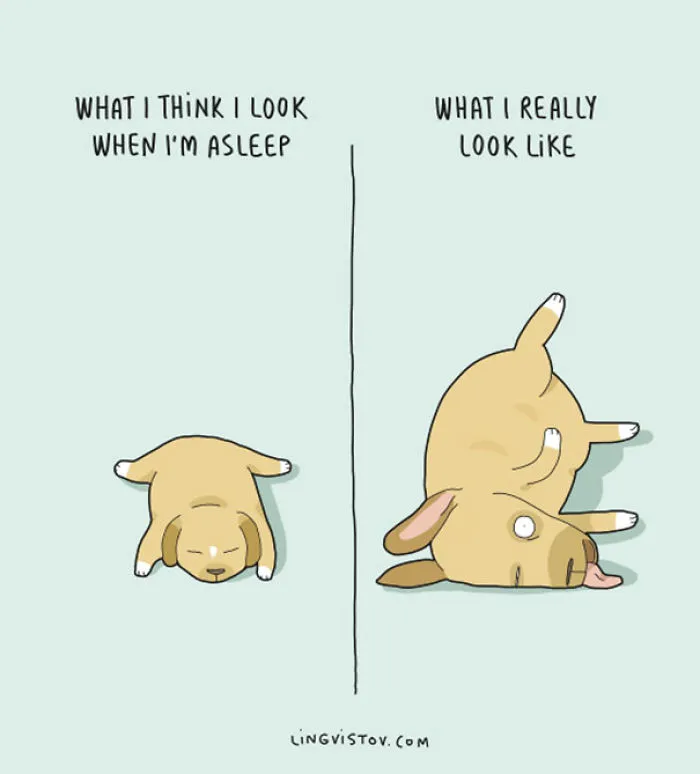 123 Fun Animal Comics By Russian Artist Duo Lingvistov