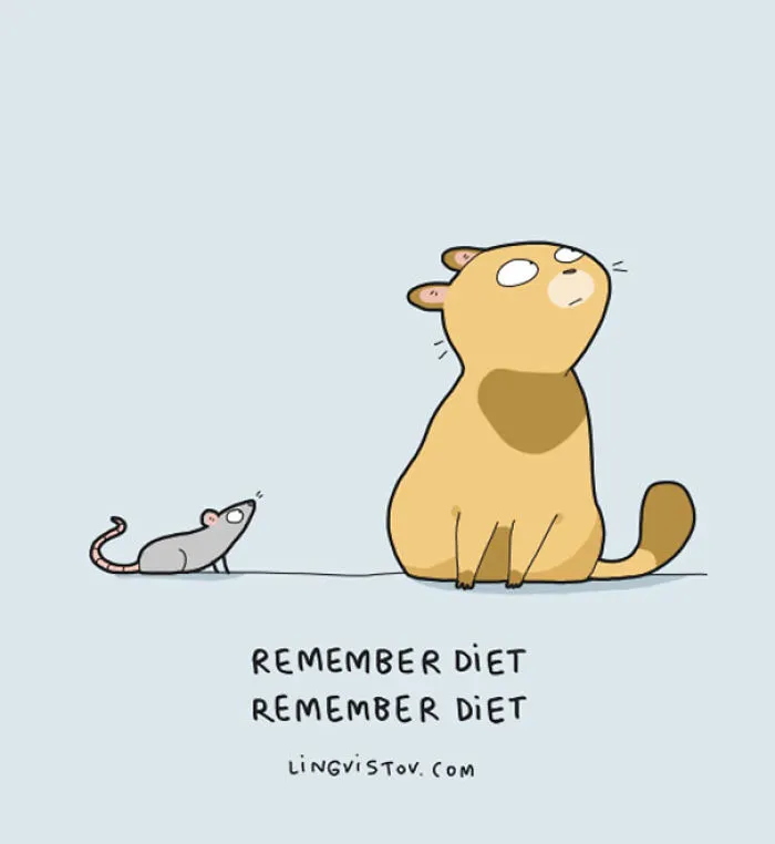 123 Fun Animal Comics By Russian Artist Duo Lingvistov