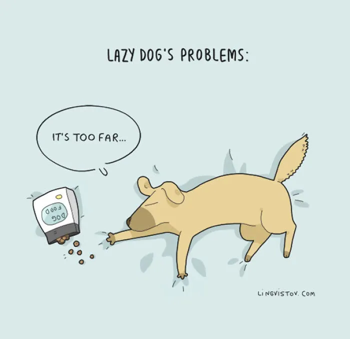 123 Fun Animal Comics By Russian Artist Duo Lingvistov