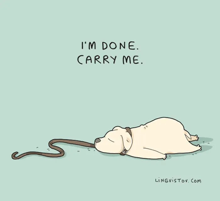 123 Fun Animal Comics By Russian Artist Duo Lingvistov