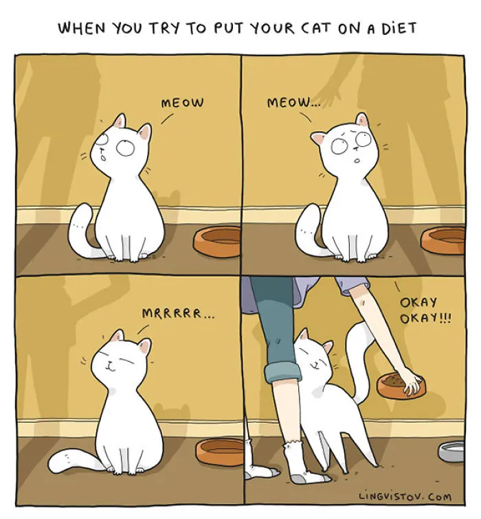 123 Fun Animal Comics By Russian Artist Duo Lingvistov