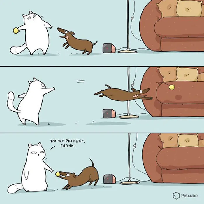 123 Fun Animal Comics By Russian Artist Duo Lingvistov