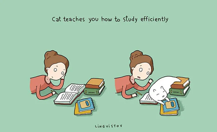 123 Fun Animal Comics By Russian Artist Duo Lingvistov