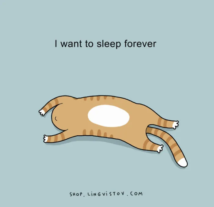 123 Fun Animal Comics By Russian Artist Duo Lingvistov