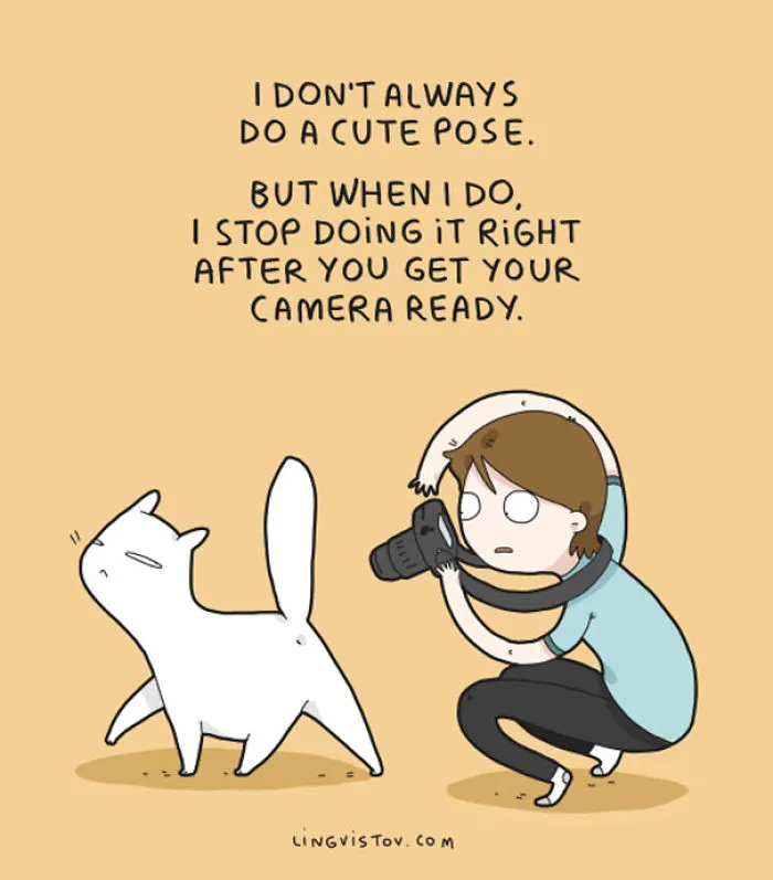 123 Fun Animal Comics By Russian Artist Duo Lingvistov