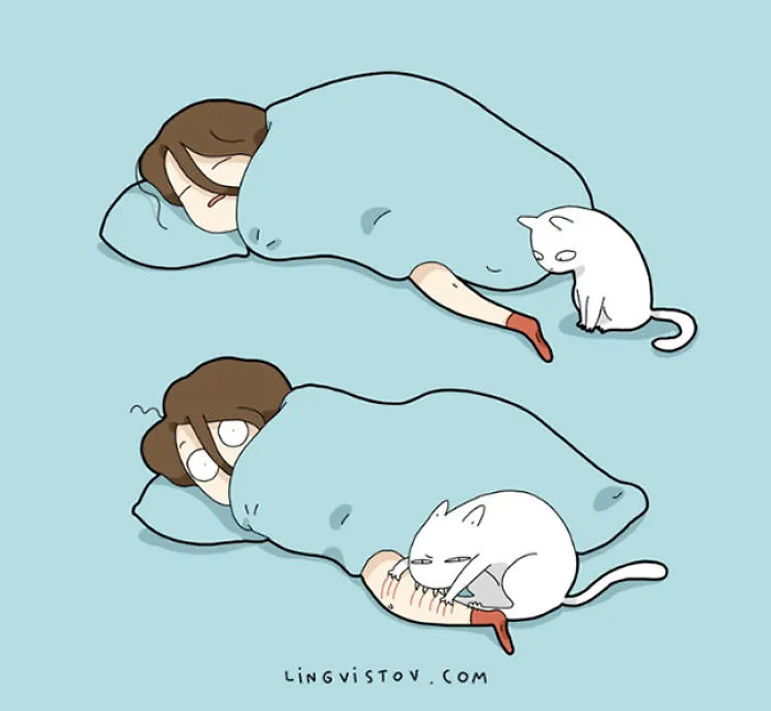 123 Fun Animal Comics By Russian Artist Duo Lingvistov