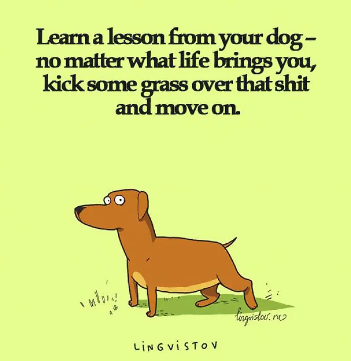 123 Fun Animal Comics By Russian Artist Duo Lingvistov