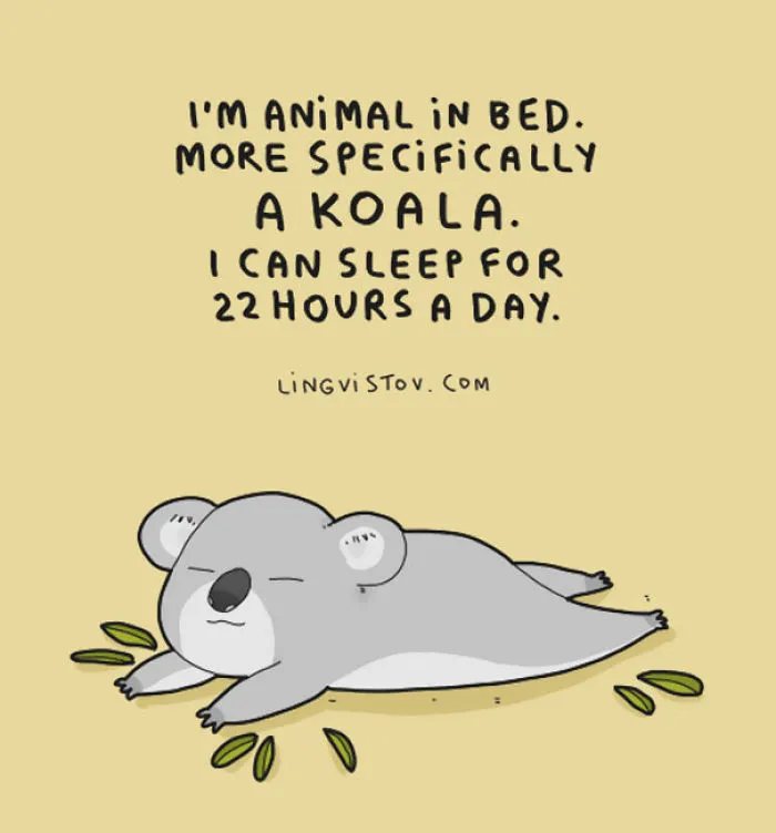123 Fun Animal Comics By Russian Artist Duo Lingvistov