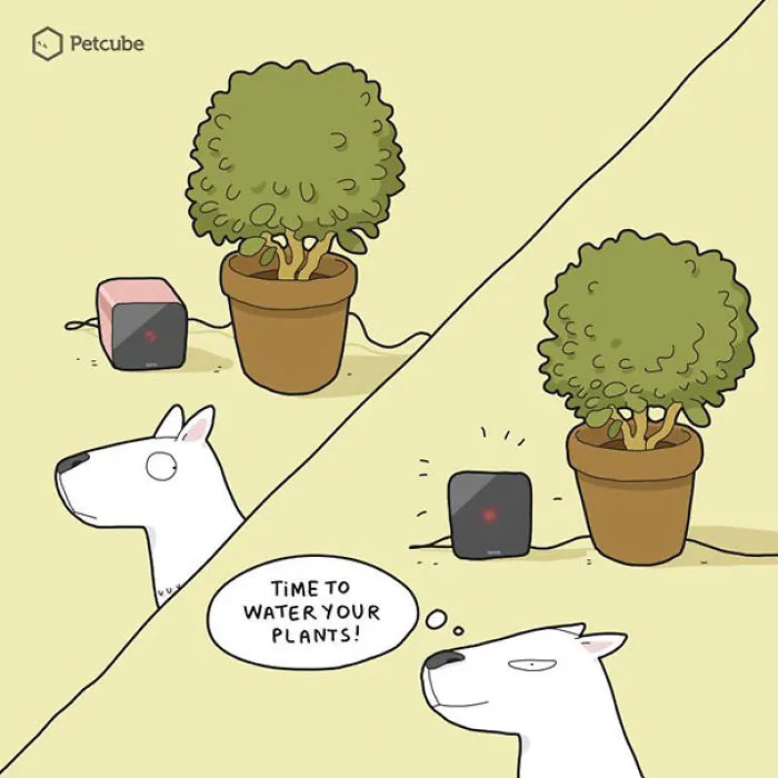 123 Fun Animal Comics By Russian Artist Duo Lingvistov