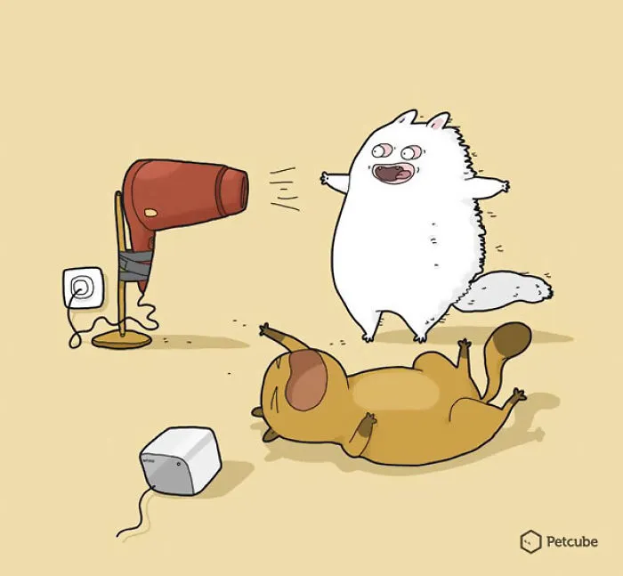 123 Fun Animal Comics By Russian Artist Duo Lingvistov