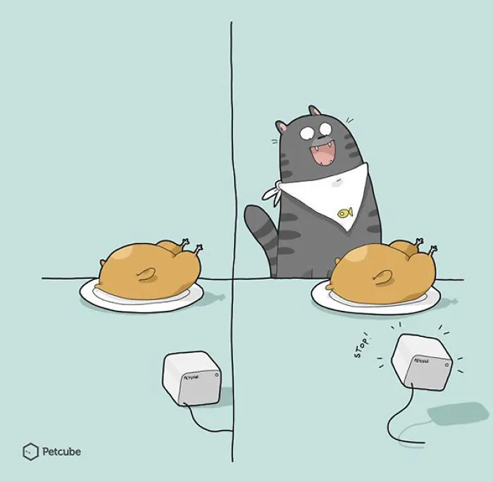 123 Fun Animal Comics By Russian Artist Duo Lingvistov