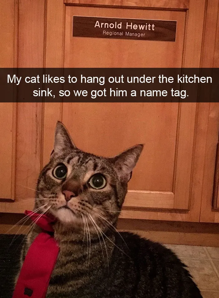 175 Hilarious Animal Snapchats Guaranteed To Make You Laugh Out Loud