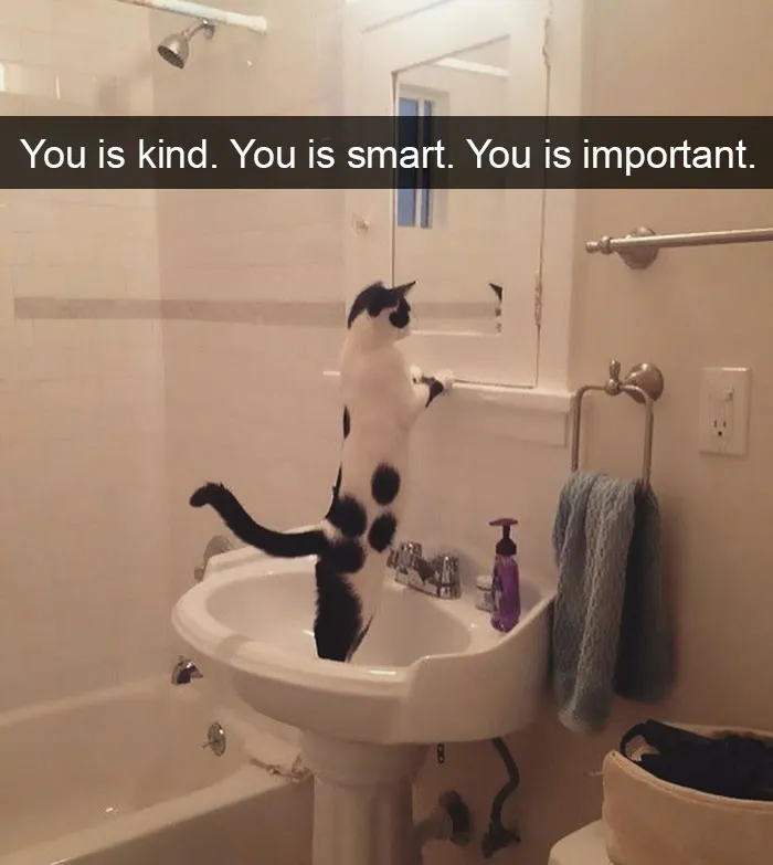 175 Hilarious Animal Snapchats Guaranteed To Make You Laugh Out Loud