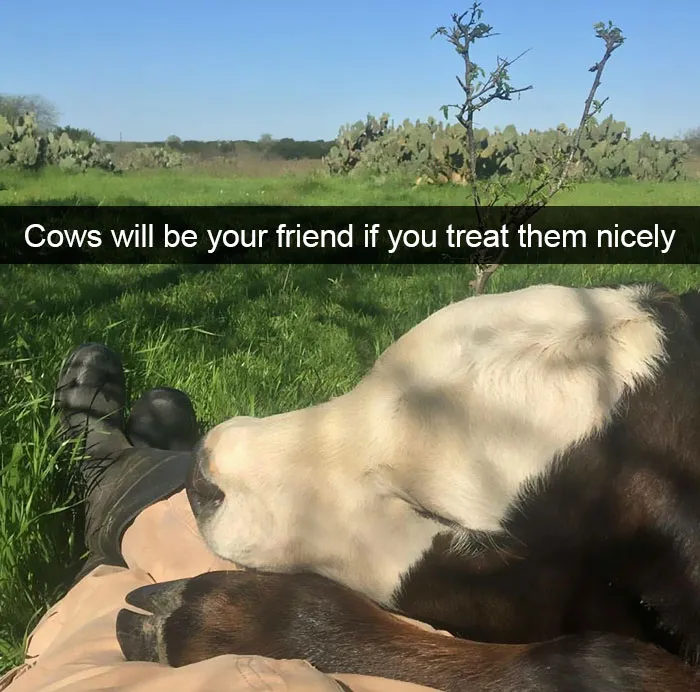 175 Hilarious Animal Snapchats Guaranteed To Make You Laugh Out Loud