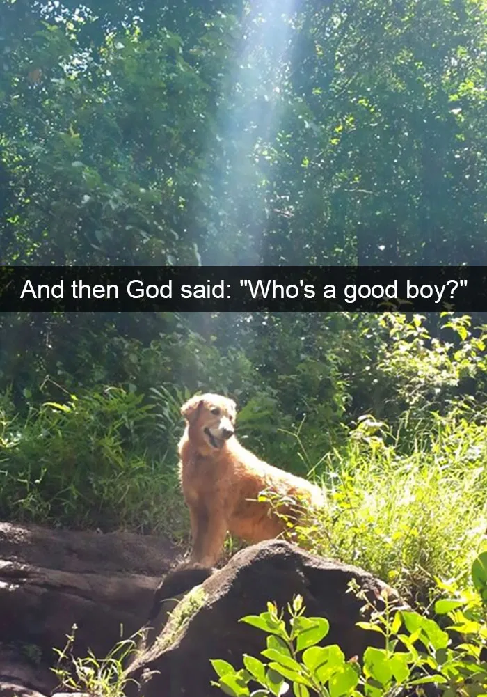 175 Hilarious Animal Snapchats Guaranteed To Make You Laugh Out Loud
