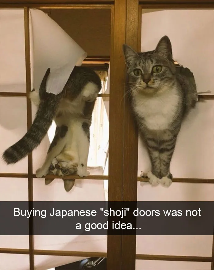 175 Hilarious Animal Snapchats Guaranteed To Make You Laugh Out Loud