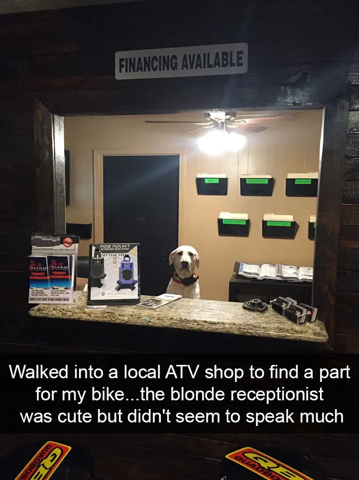 175 Hilarious Animal Snapchats Guaranteed To Make You Laugh Out Loud
