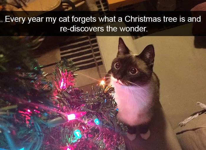 175 Hilarious Animal Snapchats Guaranteed To Make You Laugh Out Loud