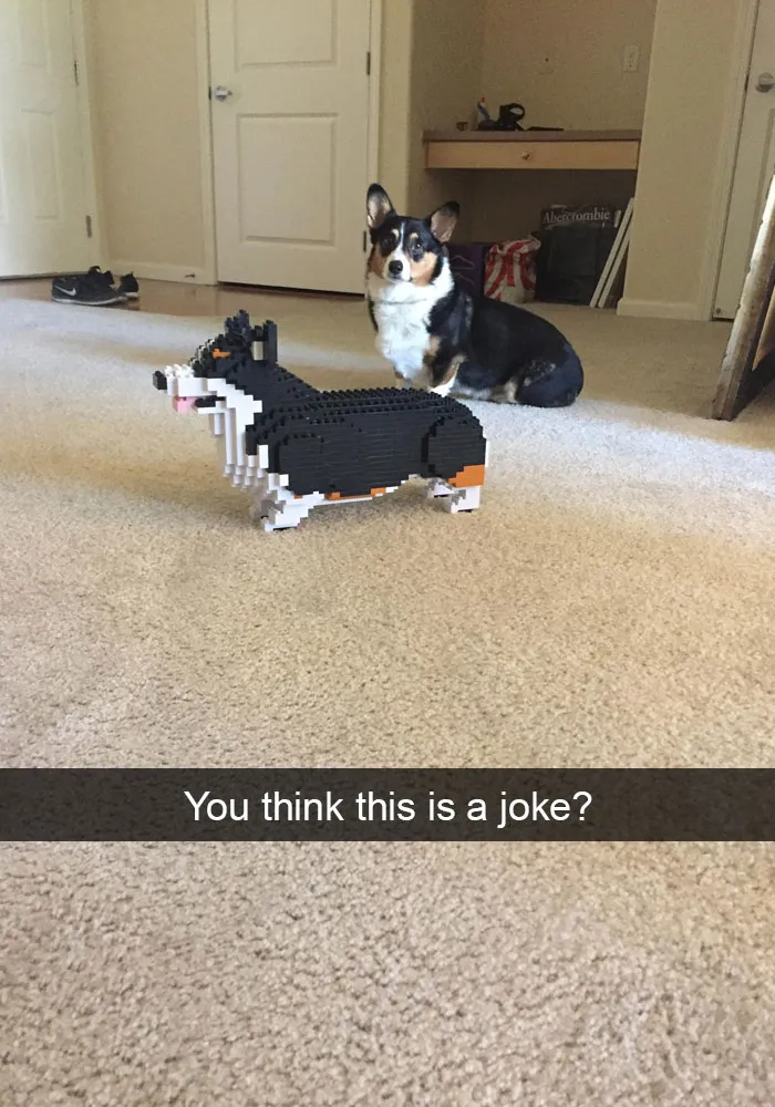 175 Hilarious Animal Snapchats Guaranteed To Make You Laugh Out Loud